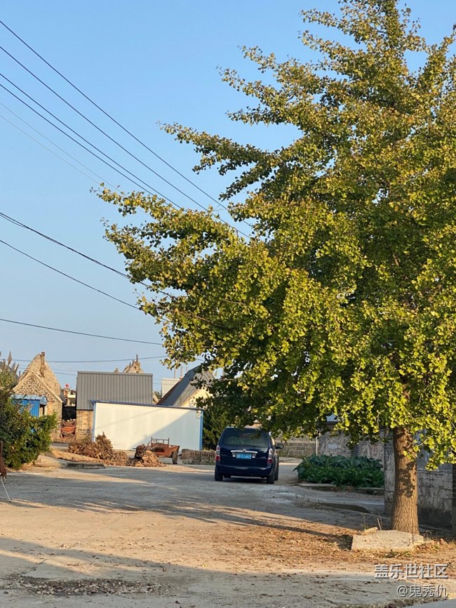 【初冬之美】靜謐