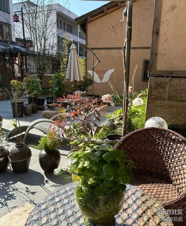 【初冬之美】養(yǎng)眼