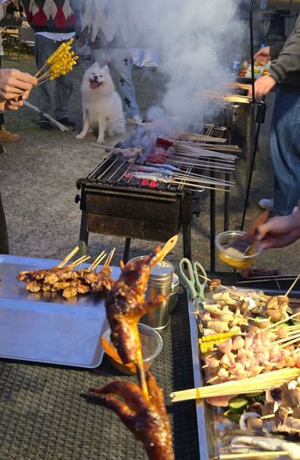 OFF WORK露營地：一段金色的攝影體驗(yàn)活動記憶