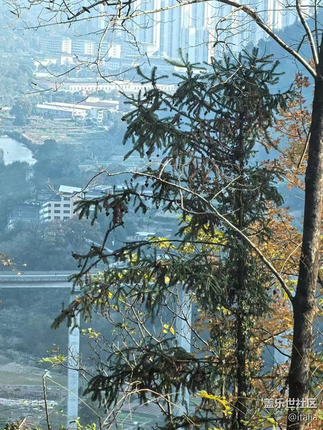 【Galaxy影像】#時光你慢些走+楓景