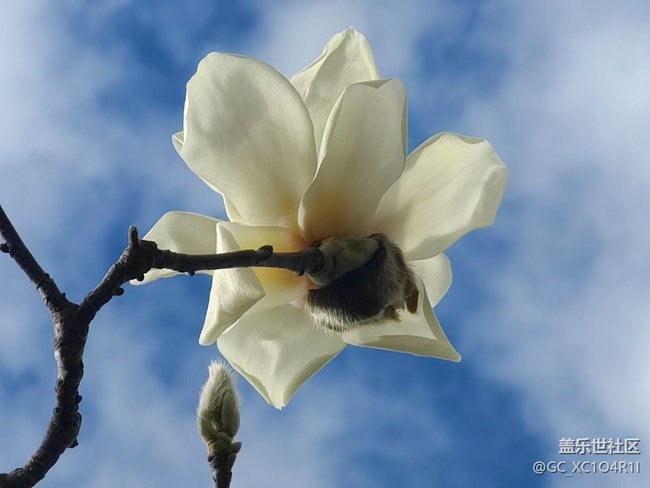 【歲末記憶】歲末記憶