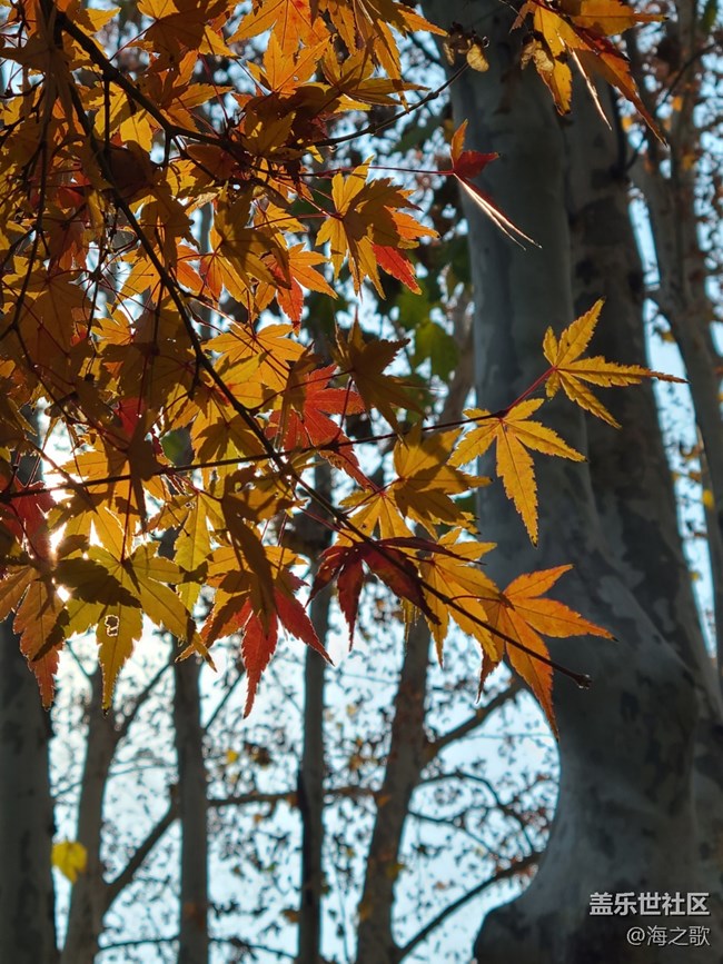 【2024再見(jiàn)】陽(yáng)光明媚