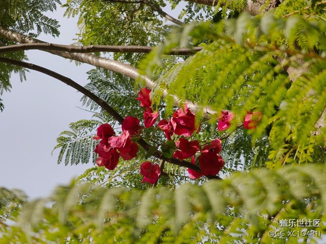 【歲末記憶】歲末記憶