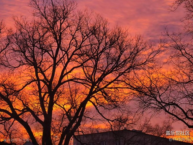 【歲末記憶】殘陽如血