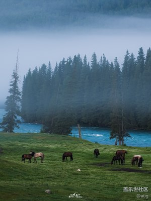 Galaxy S23 Ultra  我的2024