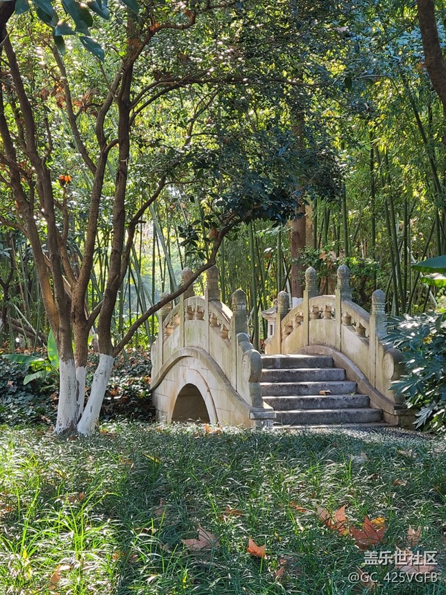 【歲末記憶】逛公園