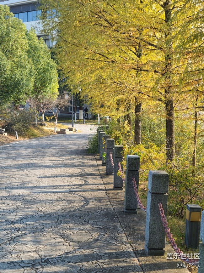 【歲末記憶】冬日漫步