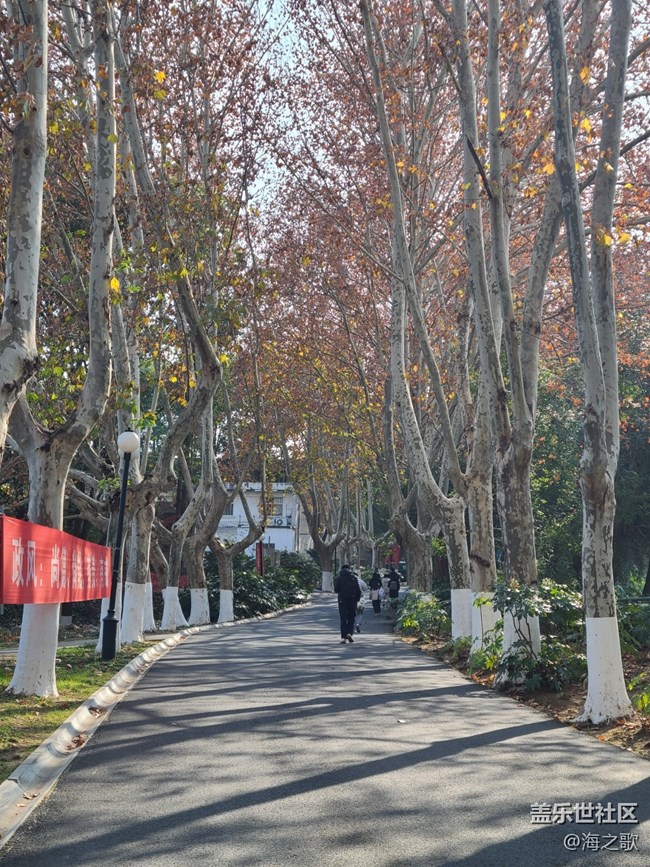 【2024再見(jiàn)】陽(yáng)光明媚