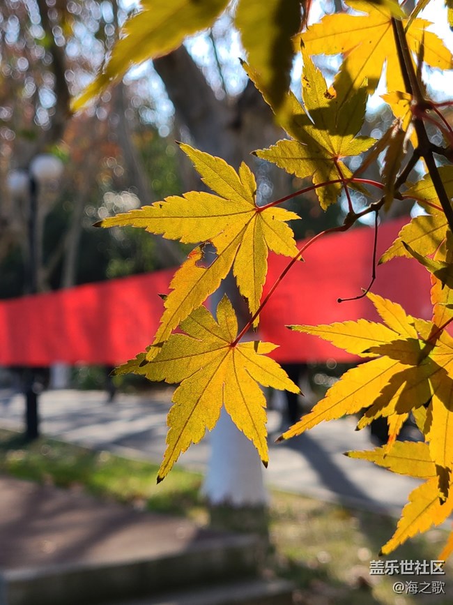 【2024再見(jiàn)】陽(yáng)光明媚