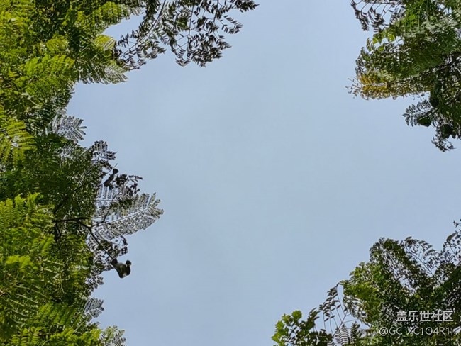 【歲末記憶】歲末記憶