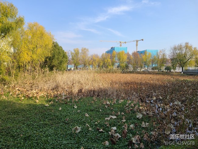 【關(guān)于蜀地的冬】冬天景色