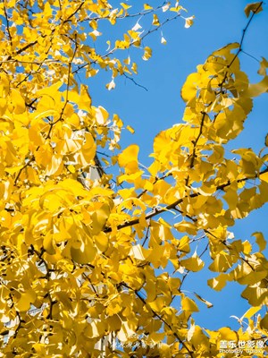 時(shí)間成了生活的照相機(jī)