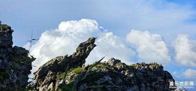 The Collected of 2024