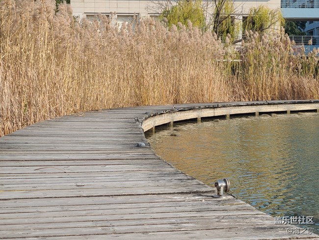 #冬暖熙熙作午晴—— 冬日的湖邊