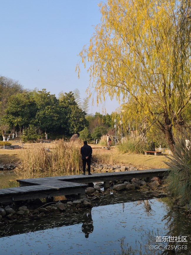 【關(guān)于蜀地的冬】冬天景色