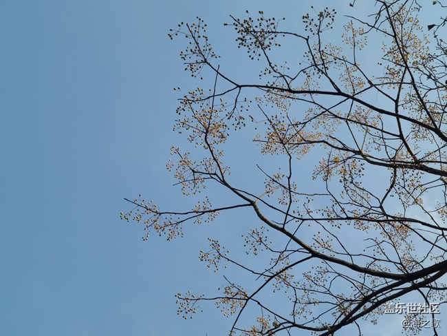 【歲末記憶】冬日漫步