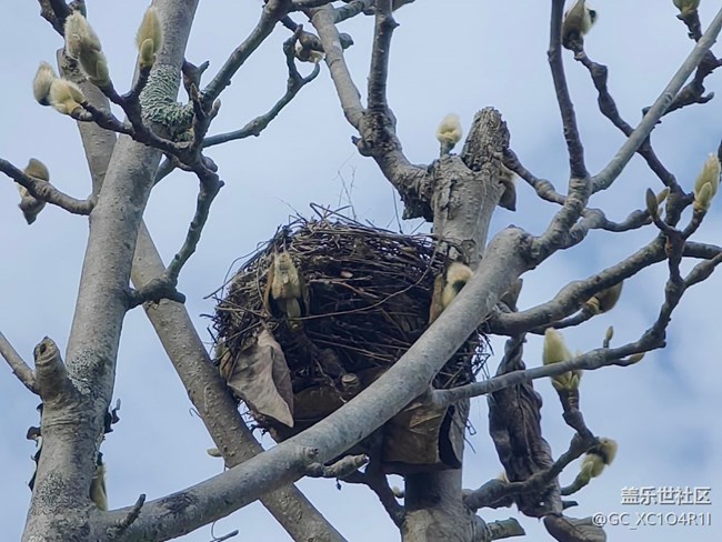【歲末記憶】歲末記憶