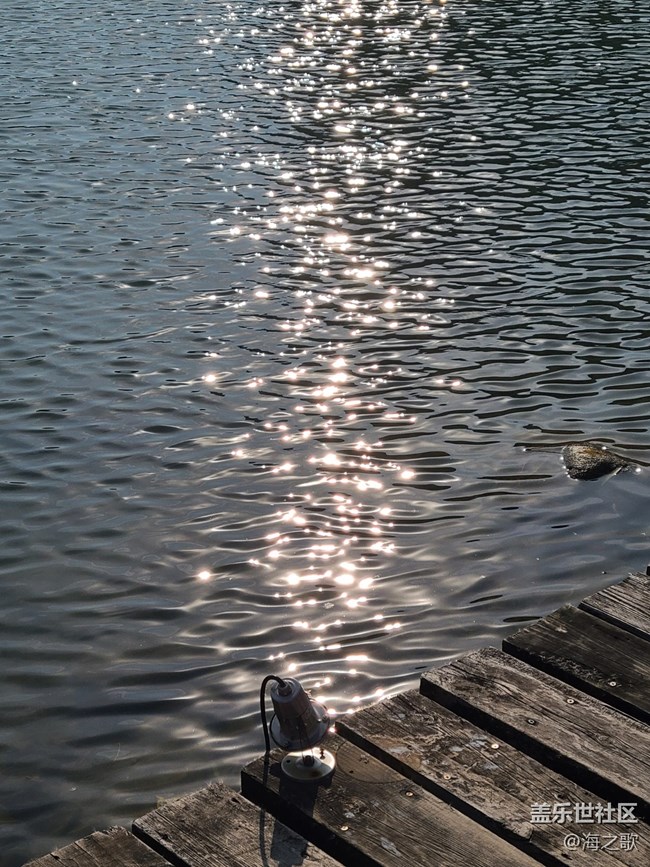 #冬暖熙熙作午晴—— 冬日的湖邊