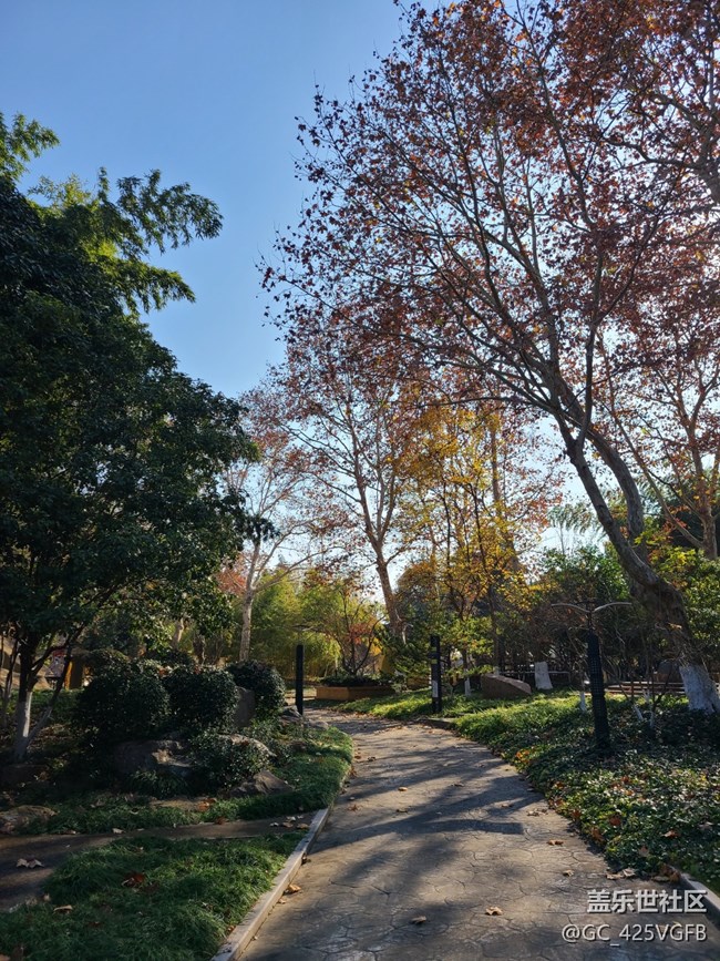 【歲末記憶】逛公園