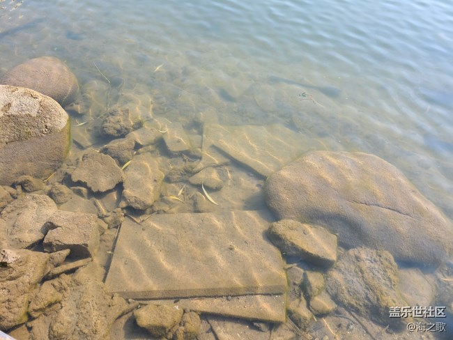 #冬暖熙熙作午晴—— 冬日的湖邊