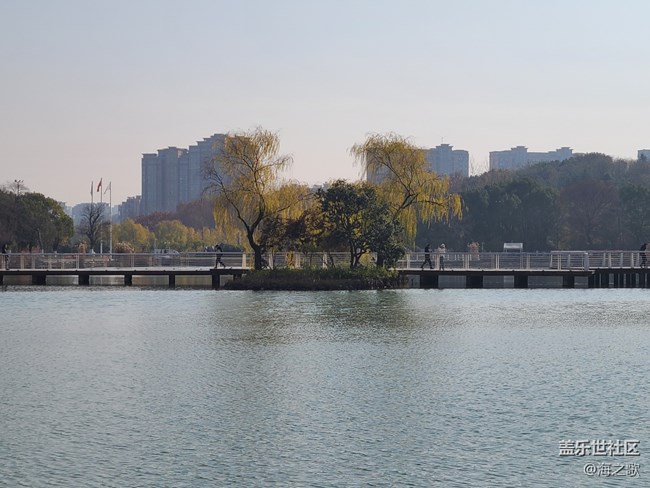 #冬暖熙熙作午晴—— 冬日的湖邊