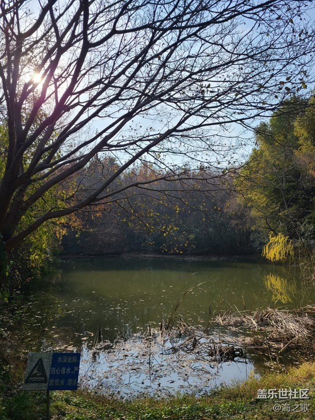 【歲末記憶】冬日漫步