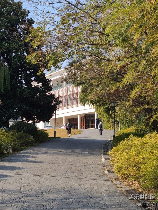 【歲末記憶】冬日漫步