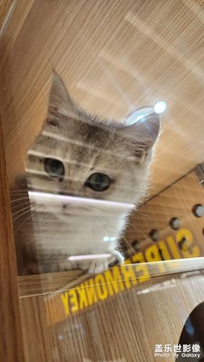 【喜迎雙節(jié)】+歡樂每天