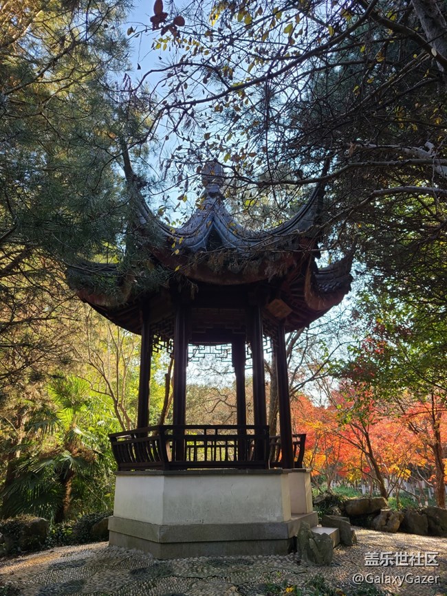【2024再見(jiàn)】美麗園林