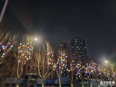 【喜迎雙節(jié)】+元旦前夕