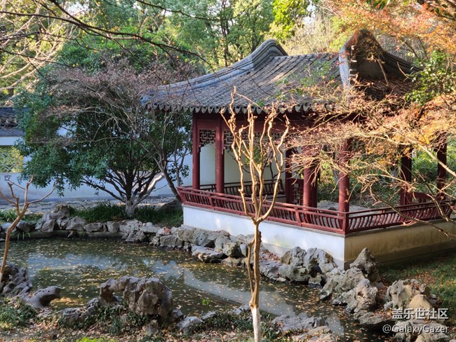 【2024再見(jiàn)】美麗園林