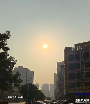 【喜迎雙節(jié)】深冬暖陽