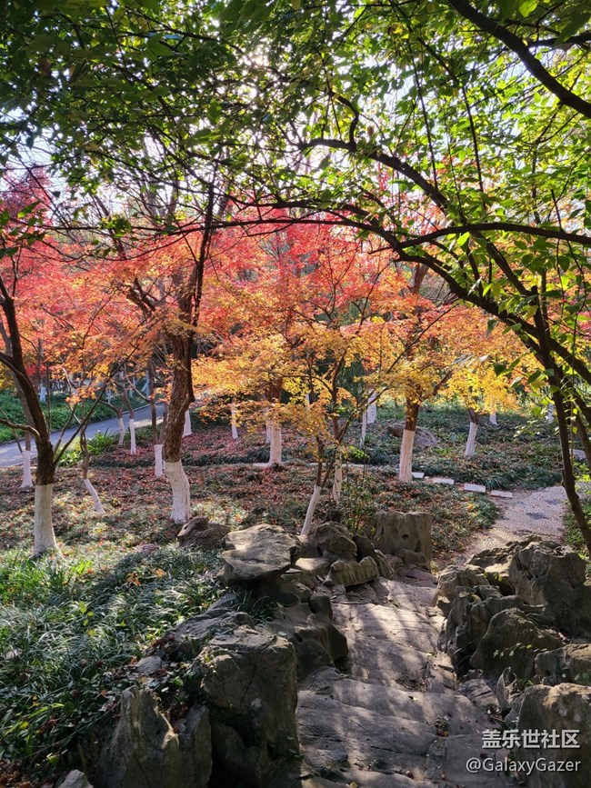 【2024再見(jiàn)】美麗園林