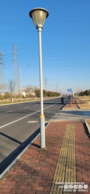 【喜迎雙節(jié)】+元旦