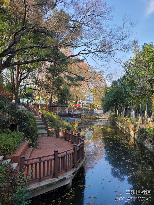 【又是一年冬】+寒冷的冬天