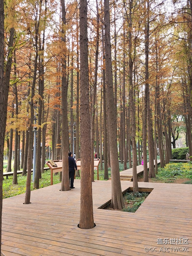 【Galaxy影像】#時光你慢些走+漫步