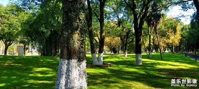 冬己立至，秋未走遠(yuǎn)，春天在招手。