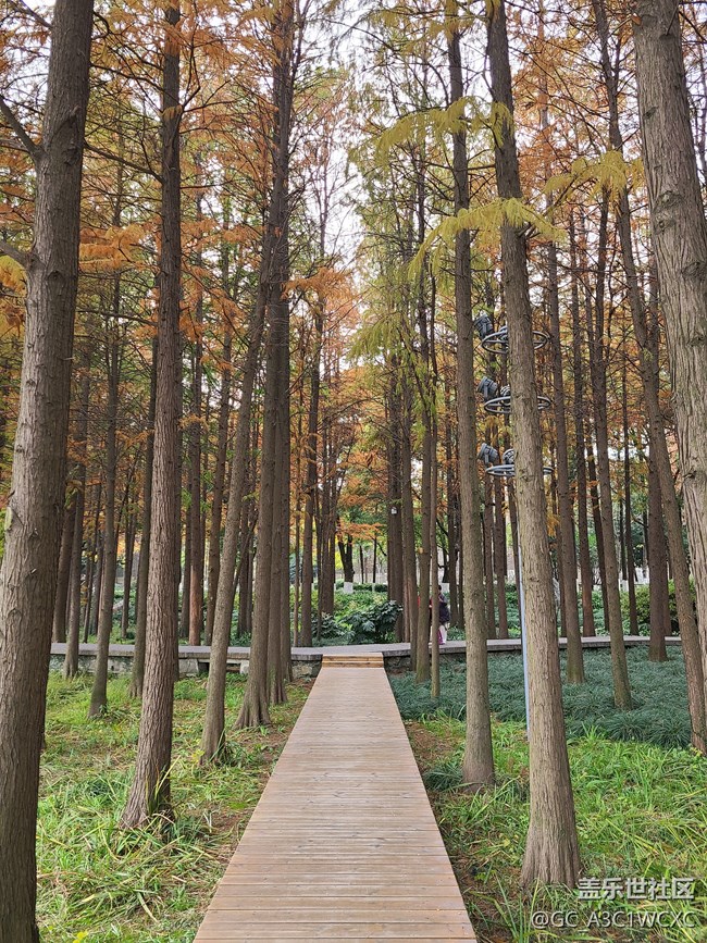 【Galaxy影像】#時光你慢些走+漫步