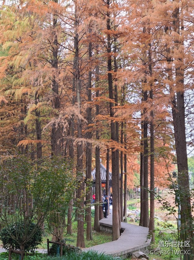 【Galaxy影像】#時光你慢些走+漫步