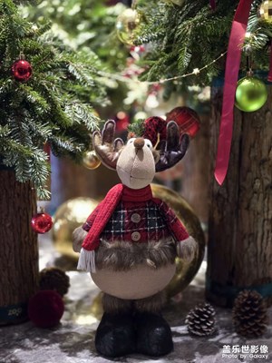 【喜迎雙節(jié)】又一年