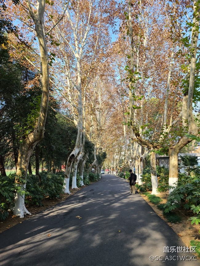 【又是一年冬】+寒冷的冬天