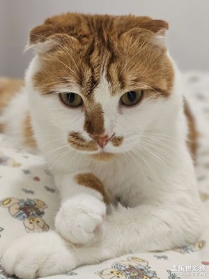 【喜迎雙節(jié)】+冷颼颼啊冷颼颼