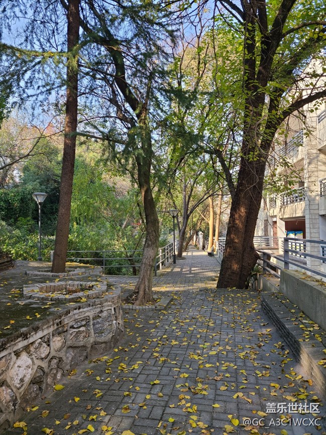 【又是一年冬】+寒冷的冬天