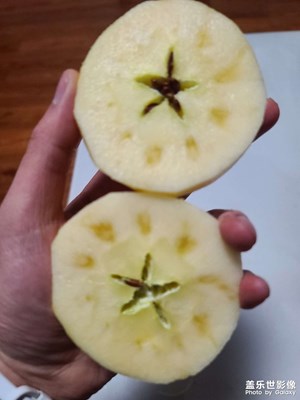 【喜迎雙節(jié)】+24年last周日～羊肉湯