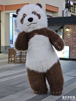【喜迎雙節(jié)】可愛的大熊貓