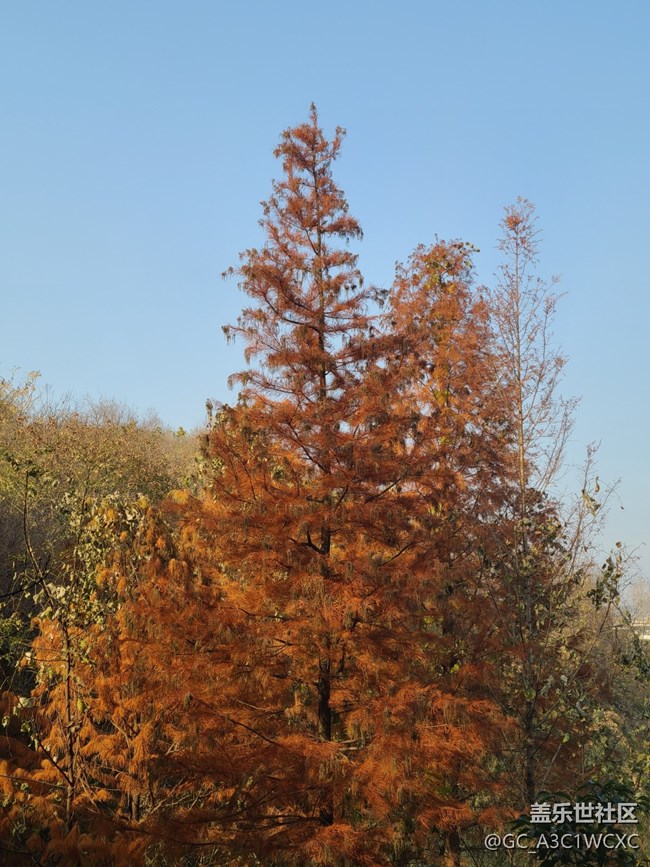 【初冬之美】爬山