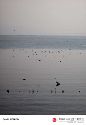 【喜迎雙節(jié)】反差