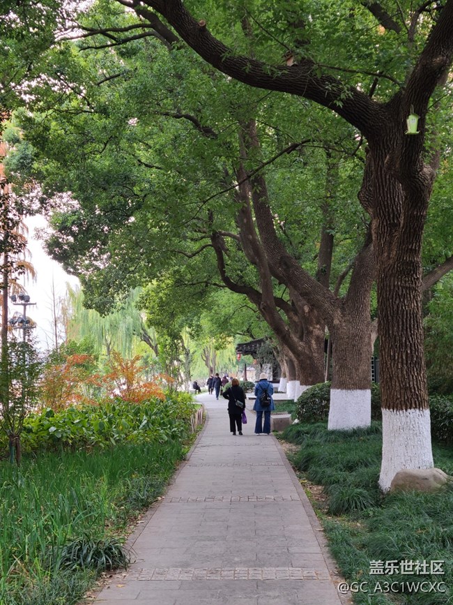 【Galaxy影像】#時光你慢些走+漫步