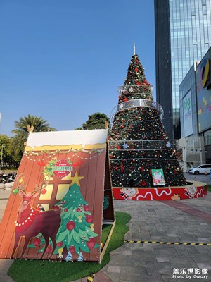 【喜迎雙節(jié)】祝你圣誕、元旦快樂(lè)