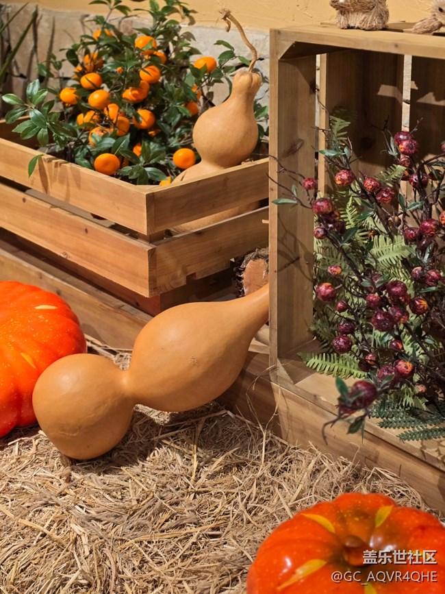 【望仙谷城市店線下攝影活動(dòng)】+望仙谷城市店